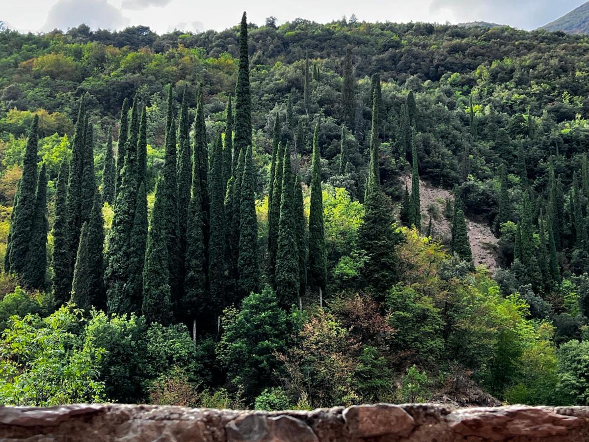 Casa Lindner Villa Rustico Ferienhaus 400M Zum Gardasee 13Schlafplaetze トスコラーノ・マデルノ エクステリア 写真